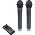 LD Systems ROAD BUDDY 10 HHD 2