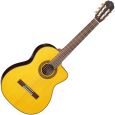 Takamine GC5CE-NAT V2 Konzertgitarre