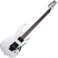Ibanez PWM20 Paul Waggoner Signature E-Gitarre