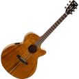 Cort SFX-Myrtlewood Westerngitarre