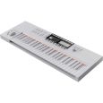 Native Instruments KOMPLETE KONTROL S49 MK2 Vapor Gray LTD