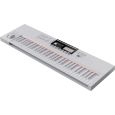 Native Instruments KOMPLETE KONTROL S61 MK2 Vapor Gray LTD