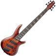 Ibanez SRMS806-BTT Soundgear 6-String E-Bassgitarre