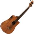 Gold Tone M-Bass AC EL Micro Bass 23" inkl. Bag