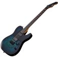 ESP Ltd TE-200DX Blue Burst E-Gitarre