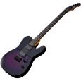 ESP Ltd TE-200DX Purple Burst E-Gitarre