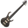 Ibanez BTB606-TGF 6 String E-Bassgitarre