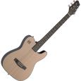 James Neligan Solid Spruce Folk 4/4 Guitar EW3000CN Westerngitarre