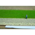 07073 Grasmischung Kuhweide, 50 g Thumbnail 1