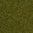 Noch 08212 Streugras Wiese, 20 g
