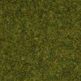 Noch 08312 Streugras Wiese, 20 g