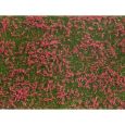 07257 Bodendecker-Foliage Wiese rot (12 x 18 cm) Thumbnail 1