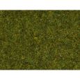 Noch 08361 Streugras Wiese 4mm, 20g