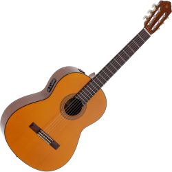 Yamaha CGX 102
