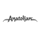 Anatolian