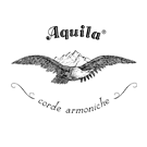 Aquila