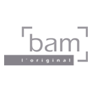 BAM Cases