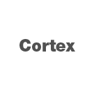 Cortex