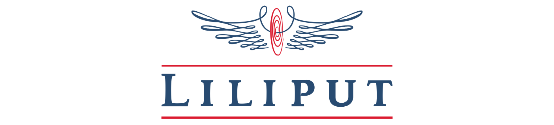 Liliput im Modellbahnshop