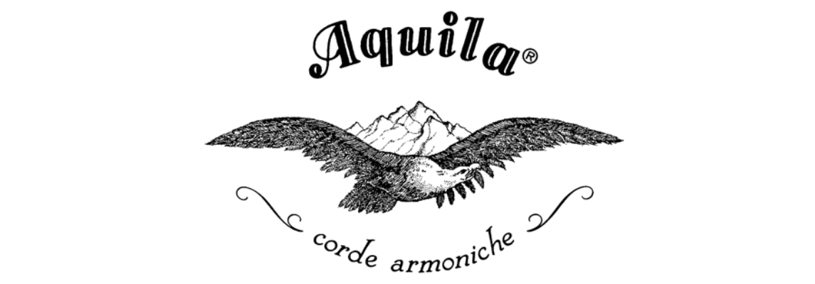Aquila