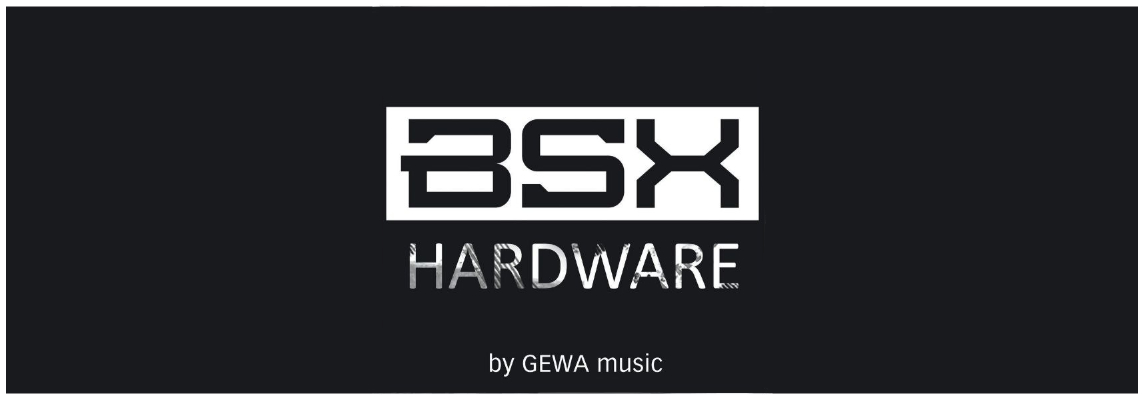 BSX