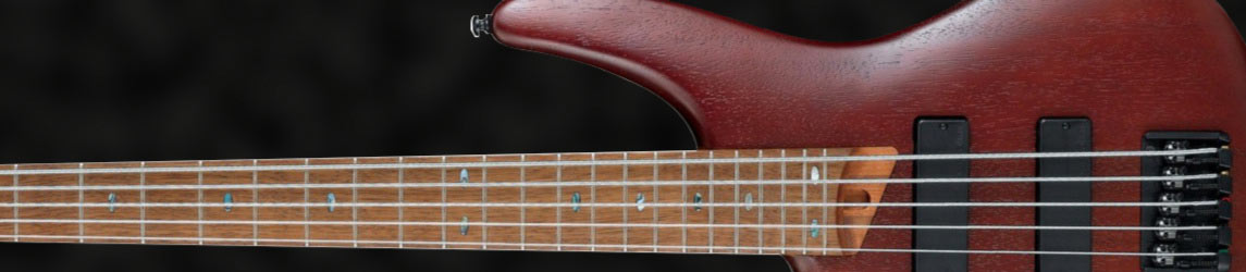 E-Bass 4-Saiter Linkshänder E-Bass 4-Saiter Linkshänder