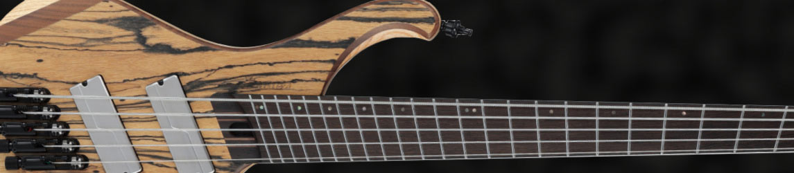 E-Bass 5-Saiter Heavy