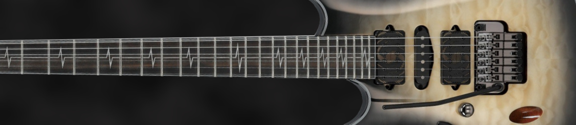 E-Gitarren Linkshänder E-Gitarren Linkshänder