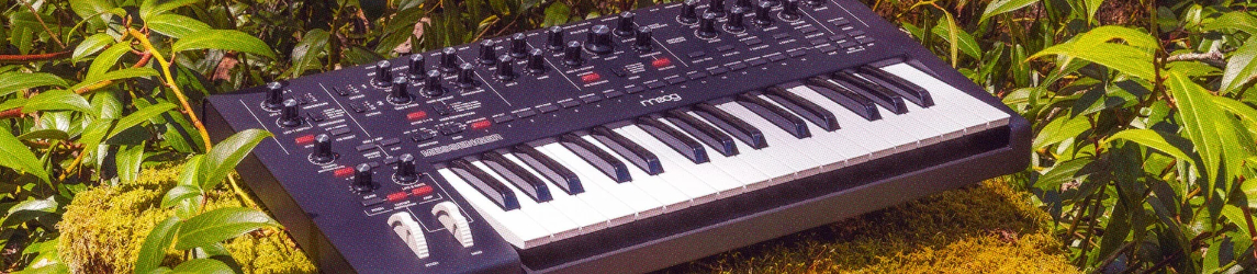 Synthesizer Synthesizer