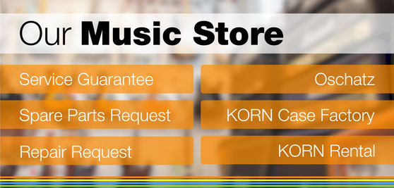 Music Stores Korn