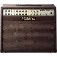Roland AC 100 Thumbnail 1