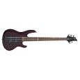 ESP Ltd B-155 See Thru Black 5-String E-Bass Thumbnail 1