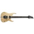 Ibanez RGT220A NTF  E-Gitarre PRESTIGE Serie Thumbnail 1
