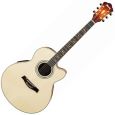 Ibanez AEL40SE-RLV Resonant Natural Low Gloss Westerngitarre Thumbnail 1