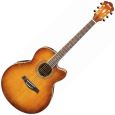 Ibanez AEL20E-VV  Westerngitarre Thumbnail 1