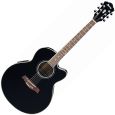 Ibanez AEL10E-BK Black Westerngitarre Thumbnail 1