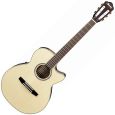 Ibanez AEG10NE-NT Thumbnail 1