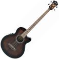 Ibanez AEB10E DVS Thumbnail 1