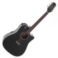 Takamine EG531SSC Thumbnail 1