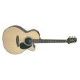 Takamine EG220C Thumbnail 1