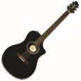 Line6 Variax Acoustic 700 black Thumbnail 1
