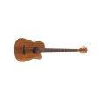 Fender Victor Bailey Acoustic Bass Natural DAO Thumbnail 1