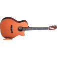 Fender GN 45 SCE Nylon Cutaway Acoustic Electric Natural Thumbnail 1