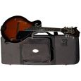 Johnson F-Mandoline JMF 100 Thumbnail 1