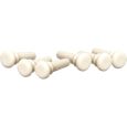 Fire&Stone Gurtknopf creme (6er Pack) Thumbnail 1
