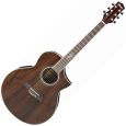 Ibanez EW20WNE-NT  Westerngitarre Thumbnail 1