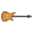 Ibanez AWD72-ATF Antique Burst Flat E-Gitarre Thumbnail 1