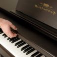 Hemingway DP-501 RW Digital Piano Rosenholz Thumbnail 8