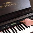 Hemingway DP-501 RW Digital Piano Rosenholz Thumbnail 9