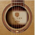 LAG Konzertgitarre Classic Nylon Autumn Serie LG312N Thumbnail 2